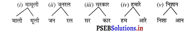 PSEB 3rd Class Hindi Solutions Chapter 8 एक खास बाग़ जलियाँवाला बाग़ 2