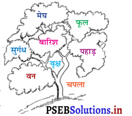 PSEB 3rd Class Hindi Solutions Chapter 9 पेड़ 1