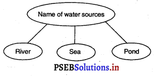 PSEB 3rd Class Welcome Life Solutions Chapter 1 Our Food and Water 4