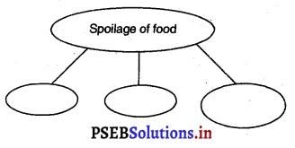 PSEB 3rd Class Welcome Life Solutions Chapter 1 Our Food and Water 5