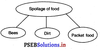 PSEB 3rd Class Welcome Life Solutions Chapter 1 Our Food and Water 6