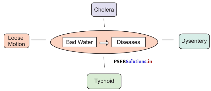 PSEB 3rd Class Welcome Life Solutions Chapter 1 Our Food and Water 7