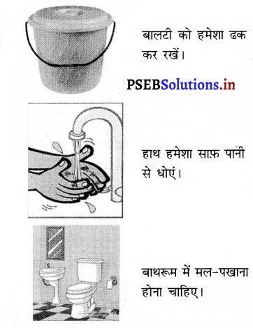 PSEB 3rd Class Welcome Life Solutions Chapter 1 हमारा भोजन तथा पानी 2