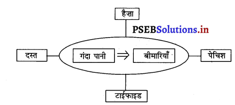 PSEB 3rd Class Welcome Life Solutions Chapter 1 हमारा भोजन तथा पानी 8