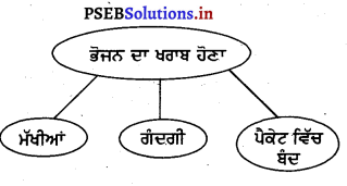 PSEB 3rd Class Welcome Life Solutions Chapter 1 ਸਾਡਾ ਭੋਜਨ ਅਤੇ ਪਾਣੀ 8