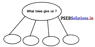 PSEB 3rd Class Welcome Life Solutions Chapter 5 Love the Trees 1