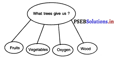 PSEB 3rd Class Welcome Life Solutions Chapter 5 Love the Trees 2