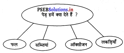 PSEB 3rd Class Welcome Life Solutions Chapter 5 पेडों से प्यार 2