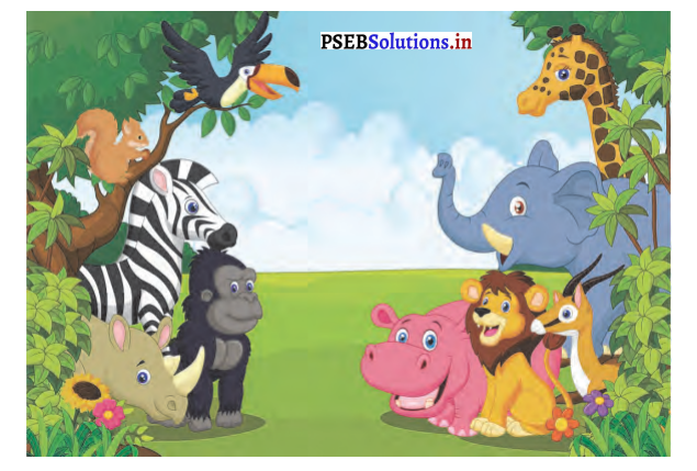 PSEB 4th Class English Solutions Chapter 9 Adventures with Books 1