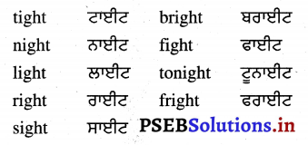 PSEB 4th Class English Solutions Chapter 9 Adventures with Books 13