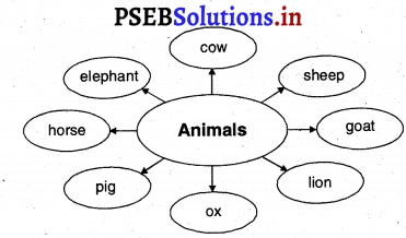PSEB 4th Class English Solutions Chapter 9 Adventures with Books 4