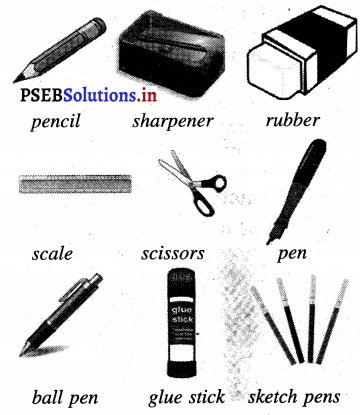 PSEB 4th Class English Solutions Chapter 9 Adventures with Books 7
