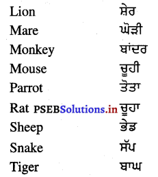 PSEB 4th Class English Solutions General Vocabulary 10