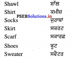 PSEB 4th Class English Solutions General Vocabulary 4