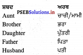 PSEB 4th Class English Solutions General Vocabulary 5