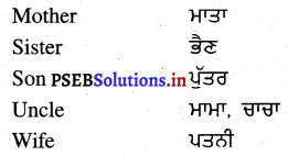 PSEB 4th Class English Solutions General Vocabulary 6
