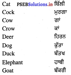 PSEB 4th Class English Solutions General Vocabulary 8