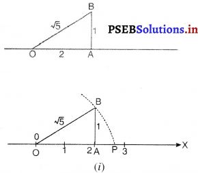 PSEB 9th Class Maths Solutions Chapter 1 संख्या पद्धति Ex 1.2 1