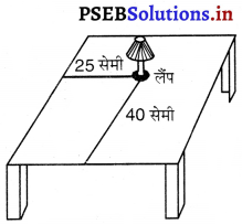 PSEB 9th Class Maths Solutions Chapter 3 निर्देशांक ज्यामिति Ex 3.1 1