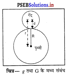 PSEB 9th Class Science Important Questions Chapter 10 गुरुत्वाकर्षण 13
