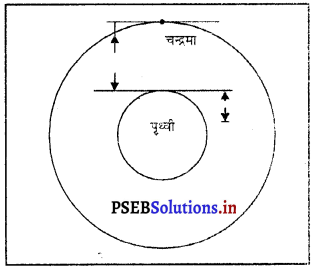 PSEB 9th Class Science Important Questions Chapter 10 गुरुत्वाकर्षण 19
