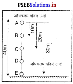 PSEB 9th Class Science Important Questions Chapter 11 कार्य तथा ऊर्जा 5