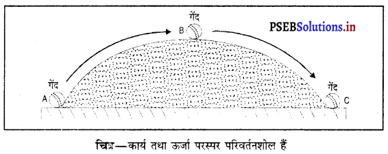 PSEB 9th Class Science Important Questions Chapter 11 कार्य तथा ऊर्जा 8
