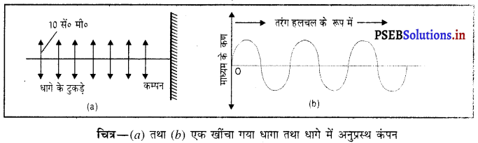 PSEB 9th Class Science Important Questions Chapter 12 ध्वनि 2