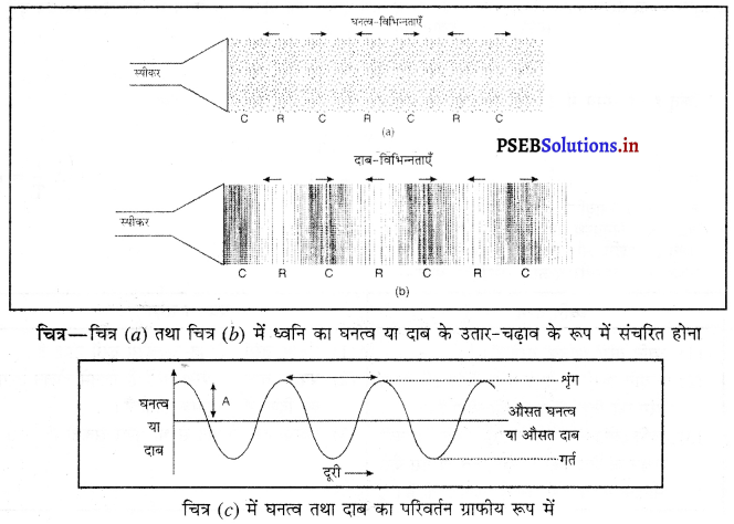 PSEB 9th Class Science Important Questions Chapter 12 ध्वनि 6