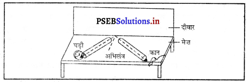 PSEB 9th Class Science Important Questions Chapter 12 ध्वनि 7
