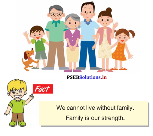 PSEB 3rd Class English Solutions Chapter 1 Me and My Family 15