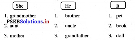 PSEB 3rd Class English Solutions Chapter 1 Me and My Family 8