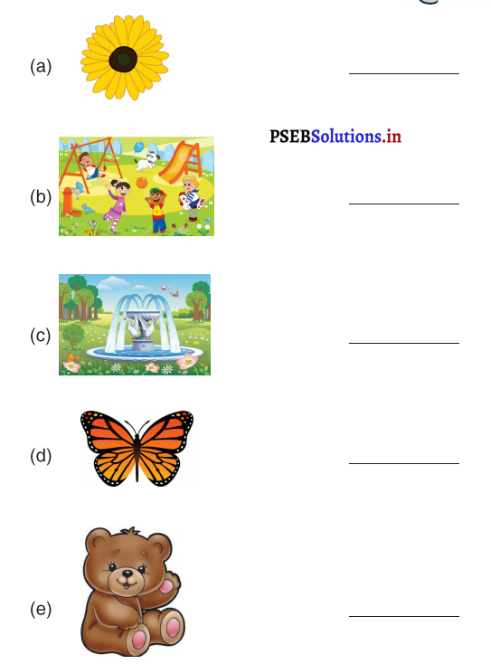 PSEB 3rd Class English Solutions Chapter 2 Visit to A Park 11