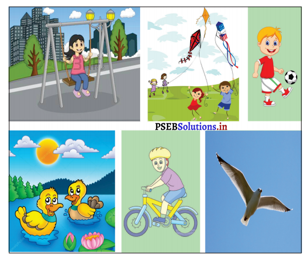 PSEB 3rd Class English Solutions Chapter 2 Visit to A Park 12