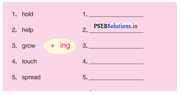 PSEB 3rd Class English Solutions Chapter 3 Trees 5