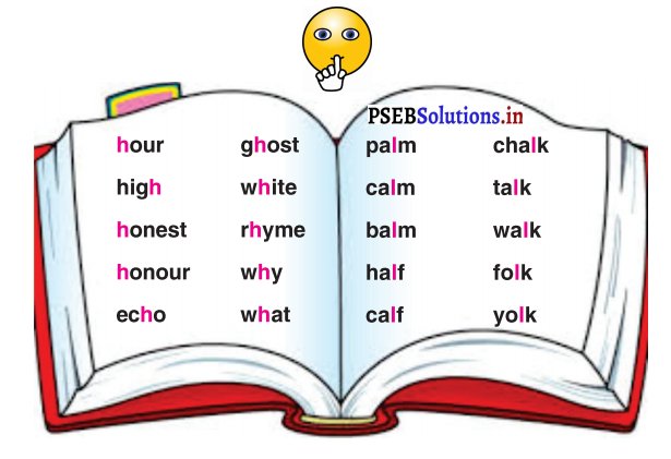 PSEB 3rd Class English Solutions Chapter 3 Trees 8