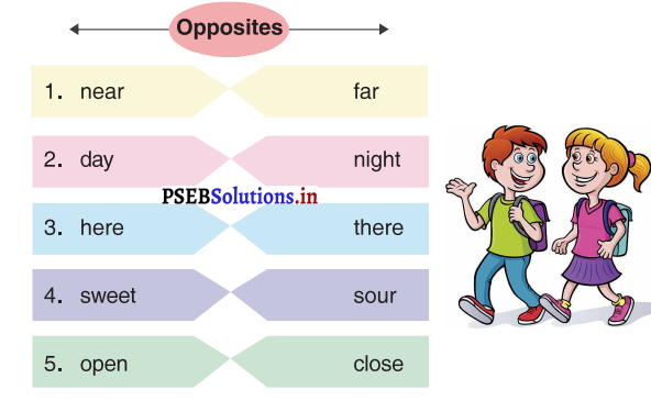 PSEB 3rd Class English Solutions Chapter 5 A Bear and A Rabbit 3