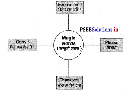 PSEB 3rd Class English Solutions Chapter 6 Lazy Param 13