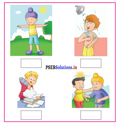 PSEB 3rd Class English Solutions Chapter 6 Lazy Param 16