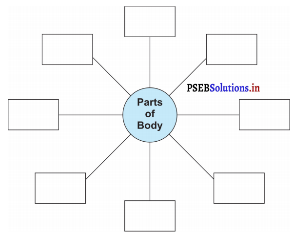 PSEB 3rd Class English Solutions Chapter 6 Lazy Param 3