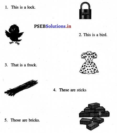 PSEB 3rd Class English Solutions Chapter 7 The Swing 14