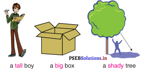 PSEB 3rd Class English Solutions Chapter 7 The Swing 7