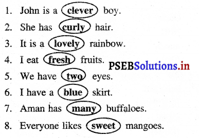 PSEB 3rd Class English Solutions Chapter 7 The Swing 9