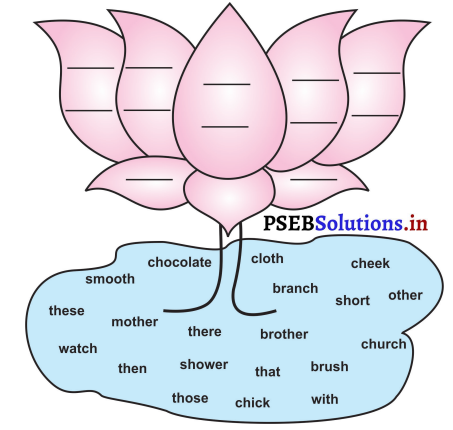 PSEB 3rd Class English Solutions Chapter 8 Going to Market 1
