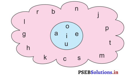PSEB 3rd Class English Solutions Chapter 8 Going to Market 19