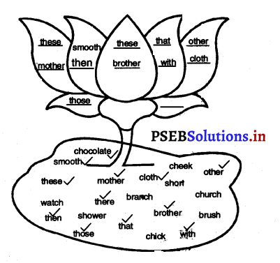 PSEB 3rd Class English Solutions Chapter 8 Going to Market 2