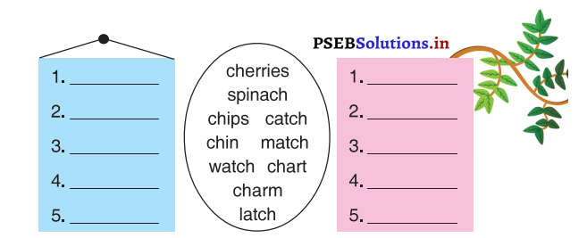 PSEB 3rd Class English Solutions Chapter 8 Going to Market 3