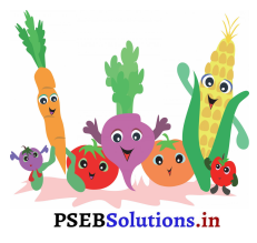 PSEB 3rd Class English Solutions Chapter 8 Going to Market 9