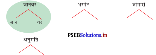 PSEB 3rd Class Hindi Solutions Chapter 21 उपकार का फल 1