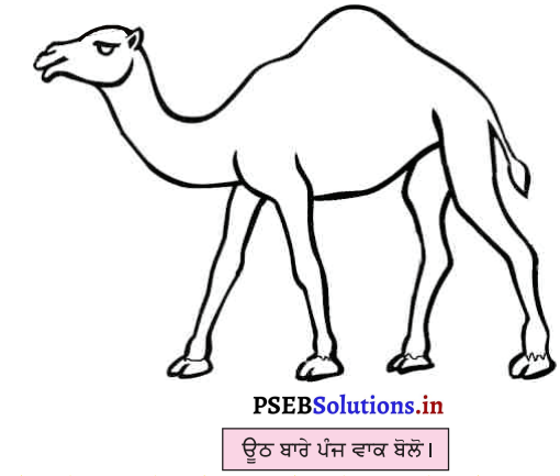 PSEB 3rd Class Punjabi Solutions Chapter 2 ਉਠ ਕਿੱਥੇ ਗਿਆ 2